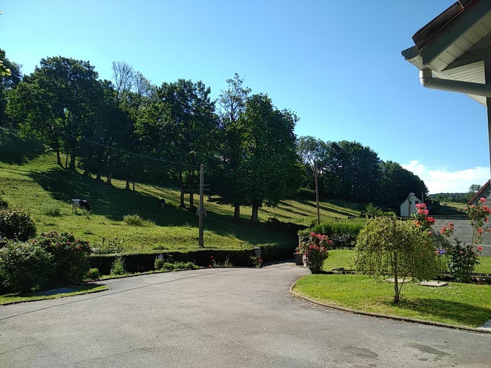 Gite De La Souche Avec Jacuzzi Doudeauville Стая снимка